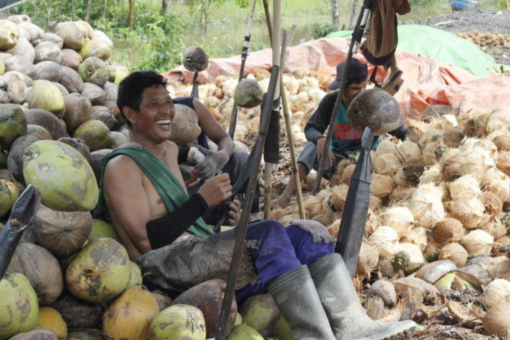daging kelapa Gorontalo